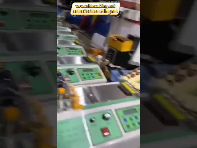 Μηχανή Κοπής Ταινίας Μικροϋπολογιστή Θερμό & Ψυχρό Μαχαίρι 110V/220V 400W