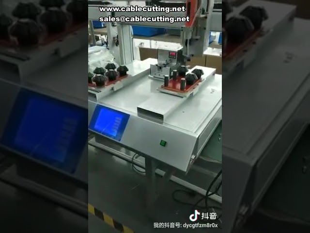 Double platform dispenser Double Y axis dispenser Double track dispenser Alternate work