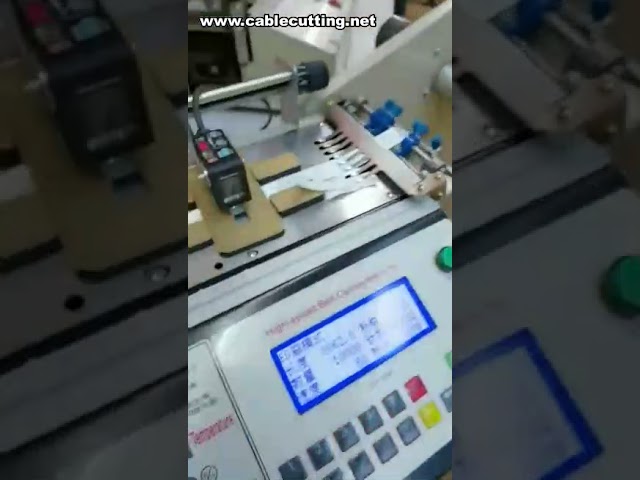 Hot And Cold Label Cutting Machine,High Speed Cutting Machine,Automatic Label Cutting Machine